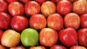 A group of red apples with one green apple among them.