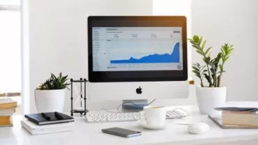 Office desk with computer, plants, and chart on screen.