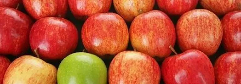 A group of red apples with one green apple among them.